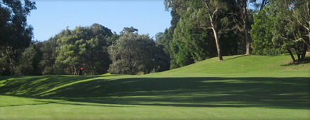 lane cove country club