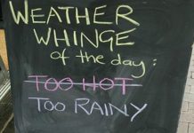 7 Things to Do in Lane Cove on a Rainy Day
