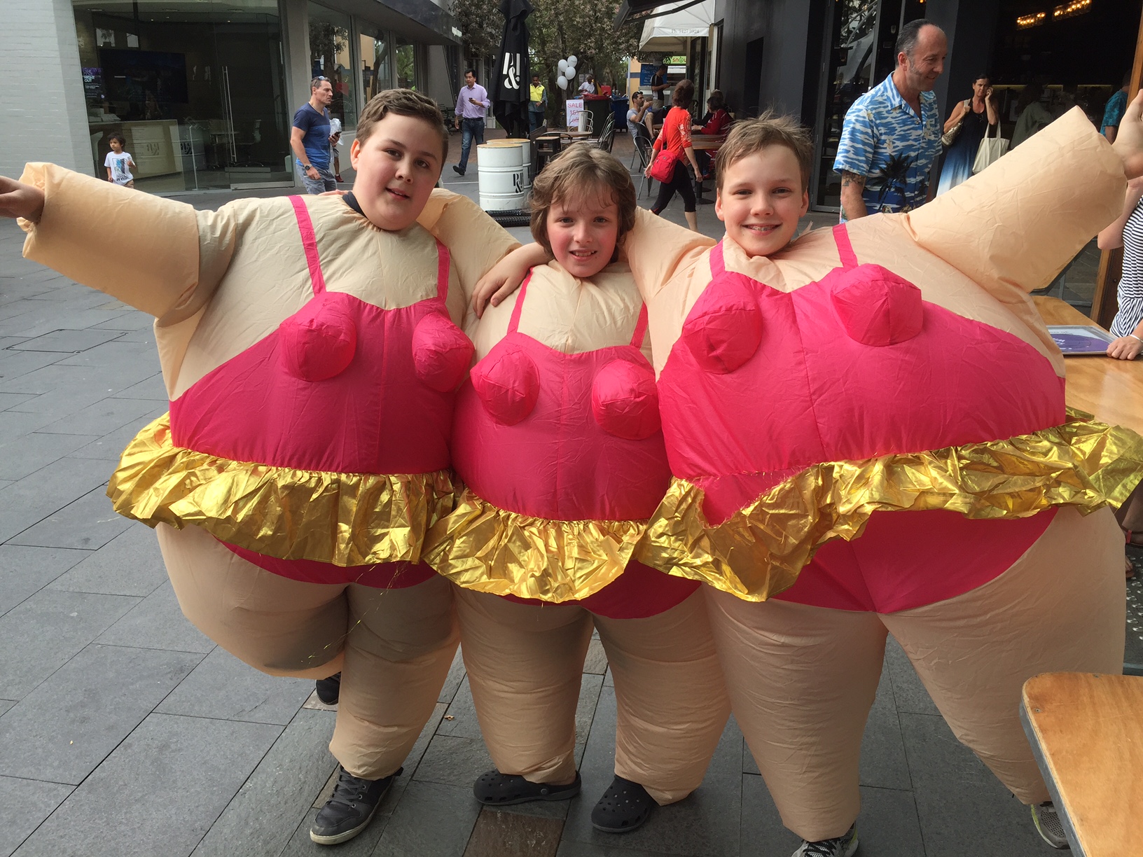 quirky lane cove sumo