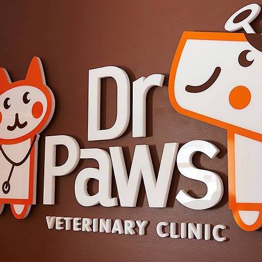 dr paws