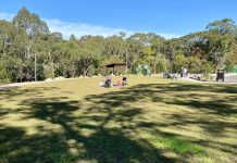 8 Top Picnic Spots in Lane Cove