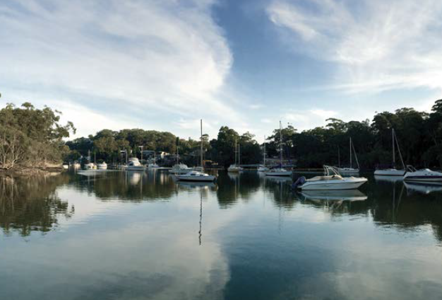 discovery boat trip lane cove river