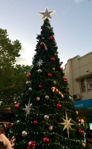 lane cove christmas tree