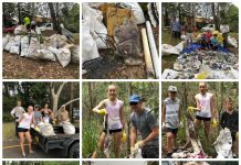 Get Ready To Clean Up Lane Cove on Clean Up Australia Day