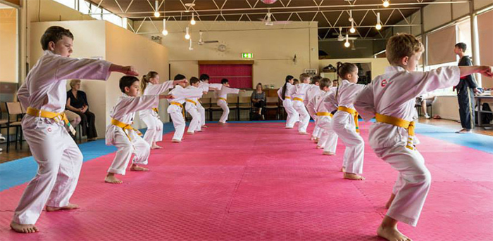 Lane Cove Taekwondo tkd