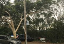 Planning NSW Denies Due Process For Controversial Lane Cove Council Backed Development