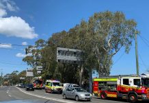 Lane Cove Week in Review 23rd to 29th September 2018
