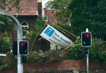 Lane Cove Week in Review 17th to 24th November 2018