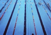 Lane Cove Week in Review 11th to 17th November 2018
