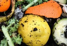 Organic Waste Problem for Lane Cove Council