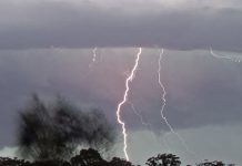 Lane Cove Week in Review 9th to 15th December 2018