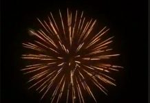 Lane Cove Week in Review 2nd December to 8th December 2018