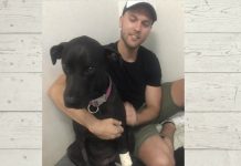 Lane Cove News Week in Review 27th January to 2nd February 2019