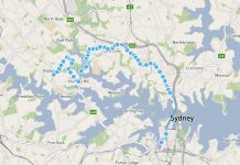 Passenger Assaulted on Bus Route 252