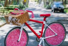 Car Free Sunday in Lane Cove