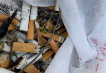 Lane Cove Council has one of the Toughest No Smoking Policies – But Is It?