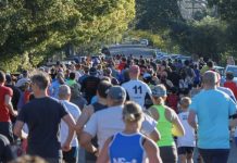 6 Tips for Lane Cove Runners
