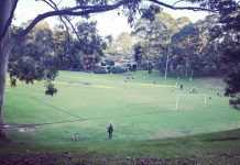 NSW Government Pledges More Green Spaces