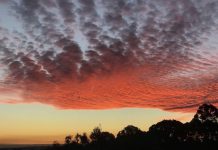 Lane Cove News Week in Review 9th to 15th June 2019