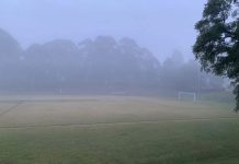 Lane Cove News Week in Review 2nd to 8th June 2019
