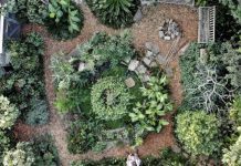 Get Ready for Sydney’s Edible Garden Trail