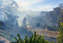 Lane Cove News Week in Review 10th to 17th November 2019