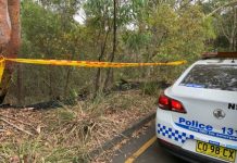 Police Investigating Delibrately Lit Fires in Lane Cove North