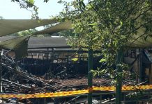 Lane Cove Week in Review 19th to 25th January 2020