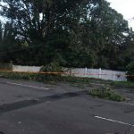 storm damage four