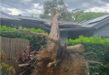 Lane Cove News Week in Review 16th February to 22nd February 2020