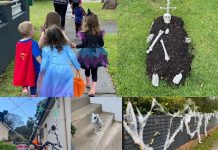 Lane Cove News Week in Review 25th October to 31st October 2020