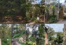 Top 10 Lane Cove Stair Runs