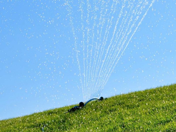 Copy of Untitled (3)