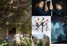 10 Local Things to Do in Lane Cove in 2021