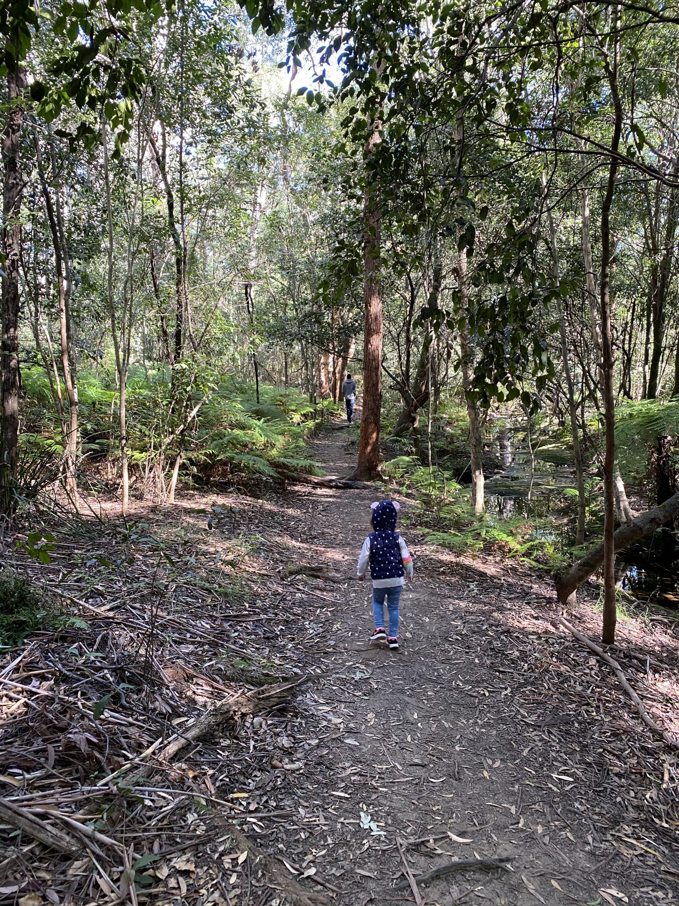 Lane Cove Bushwalks Warraroon Reserve to Tambourine Bay Park and