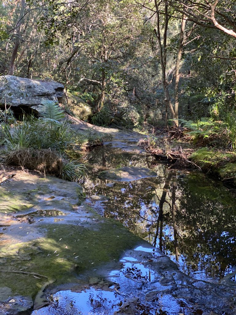 Lane Cove Bushwalks Warraroon Reserve to Tambourine Bay Park and
