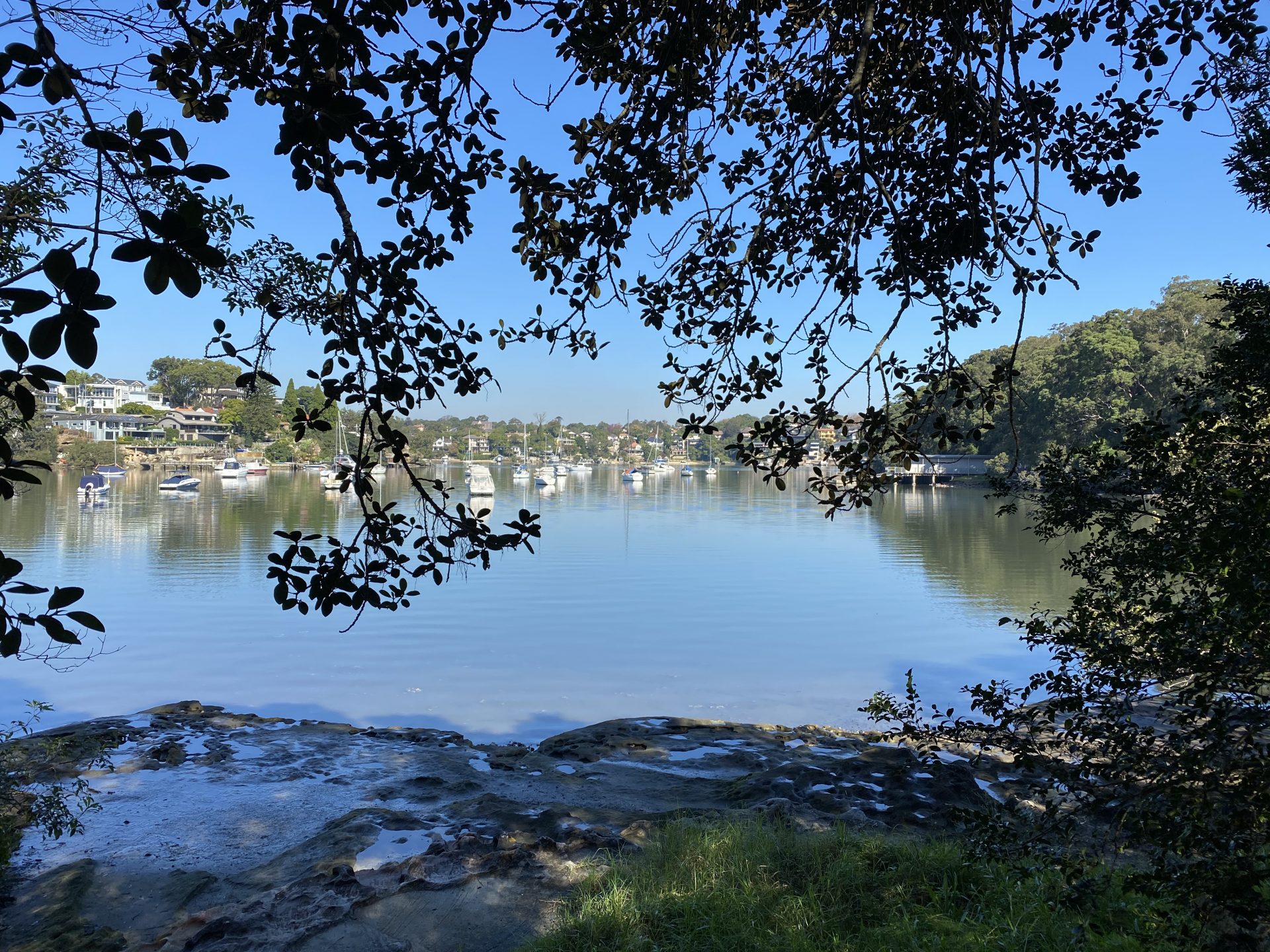 Lane Cove Bushwalks Warraroon Reserve to Tambourine Bay Park and