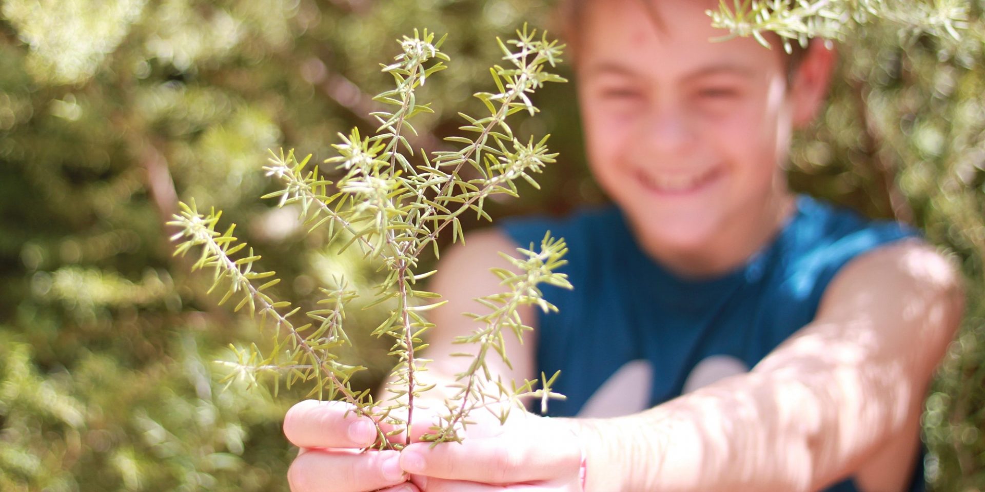 National Tree Day Burns Bay In the Cove
