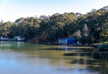 Woodford Bay Reserve to Dunois Reserve Bushwalk