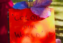 Lane Cove Local Artist Pamela Fairburn’s Colour Our World Message Tree – Colour Lane Cove