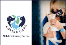 Loving Care Mobile Vet – The Vet That Comes to Your Lane Cove Home