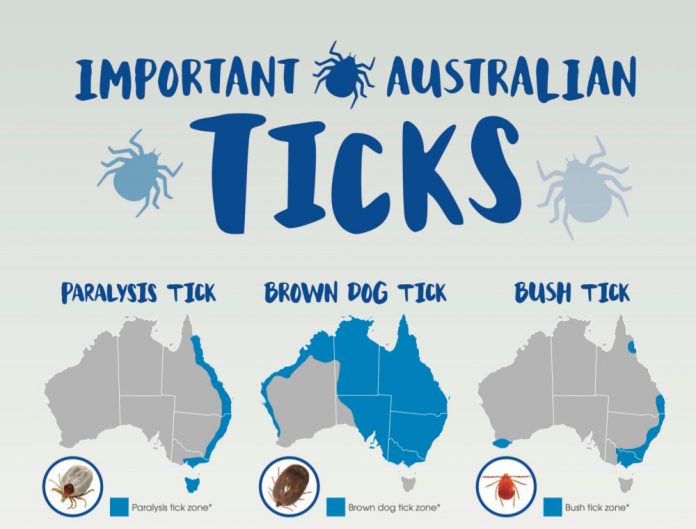 National Tick Awareness Programme - It's Tick Season Lane Cove - In the 