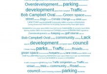 Lane Cove Election Survey Results 2021