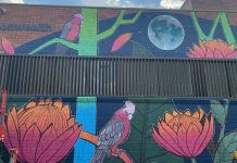 Lane Cove News Week in Review 15 to 22 December 2021