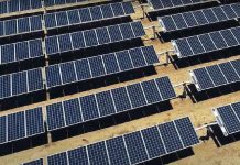 Lane Cove Council Targets Carbon Emissions by Signing Renewable Energy Contract