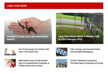 Local and Independent News Finally Getting the Recognition and Assistance it Deserves