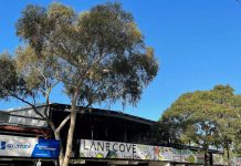 Lane Cove News Week in Review 27th April to 4th May 2022