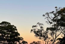 Lane Cove News Week in Review 8th to 15th June 2022