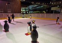 Lane Cove News Week in Review 6 to 13 July 2022