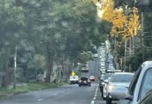 Lane Cove Roads and Traffic Forum 20 July 2022